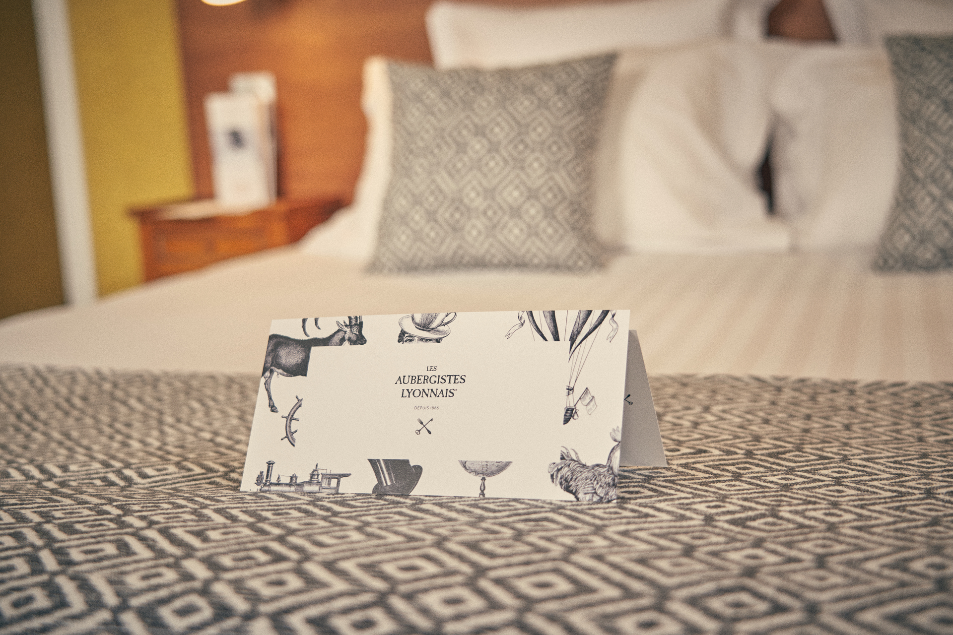 hotel pas cher lyon  bon plan1